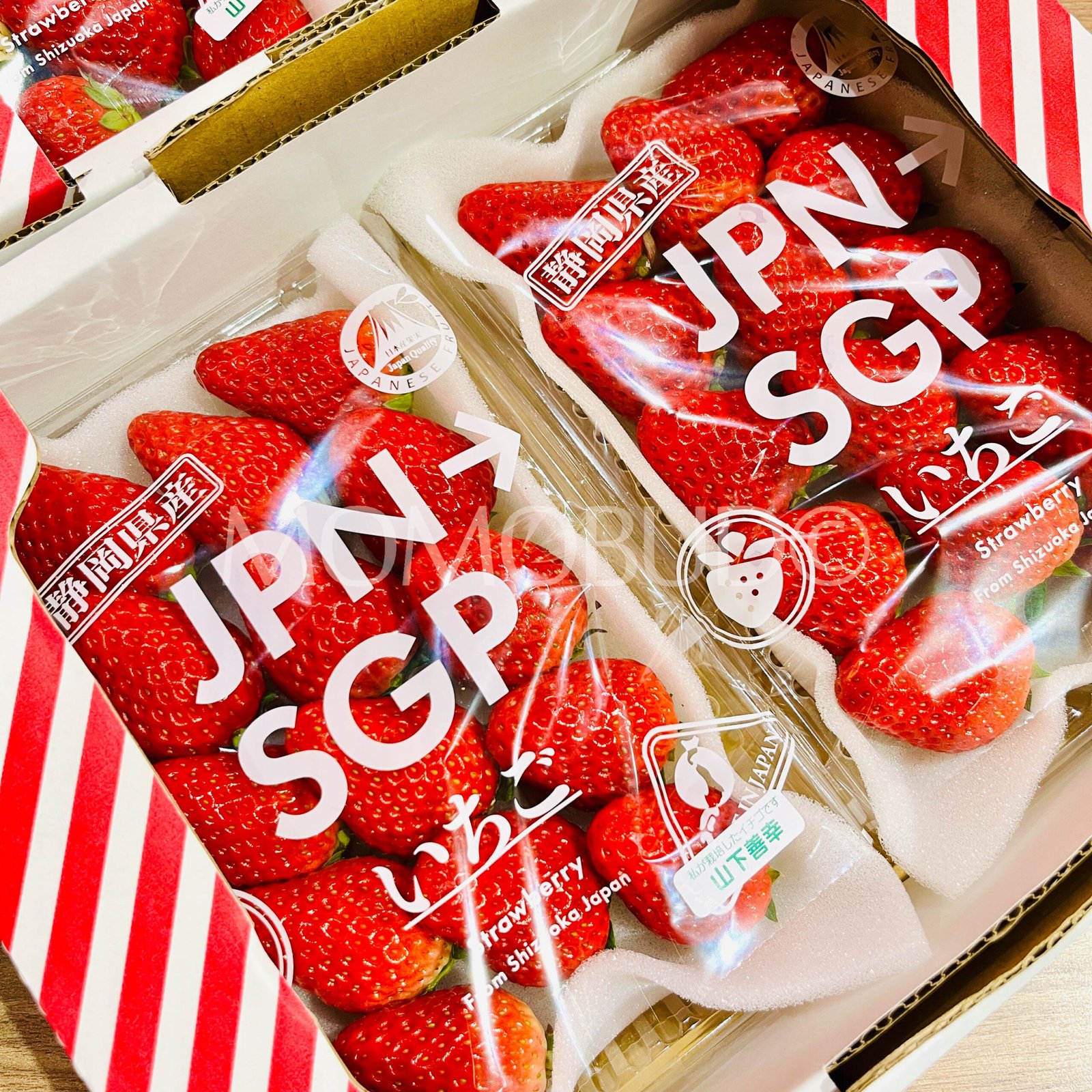 Japanese Shizuoka Beni Hoppe Ichigo (Strawberry) - Image 2