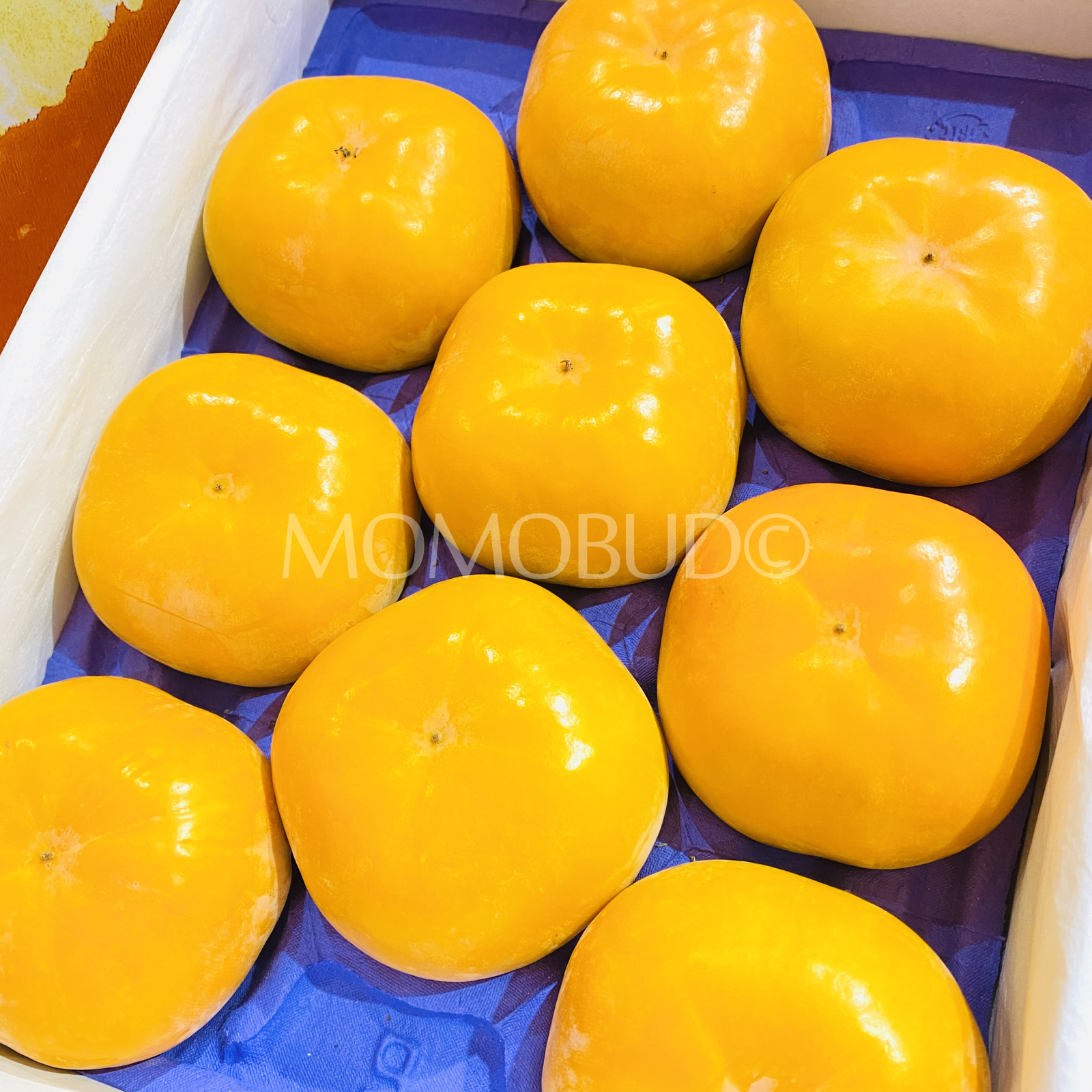 Japanese Tanenashi Jiro Persimmon Gift Box (2kg, Ripe) - Image 2