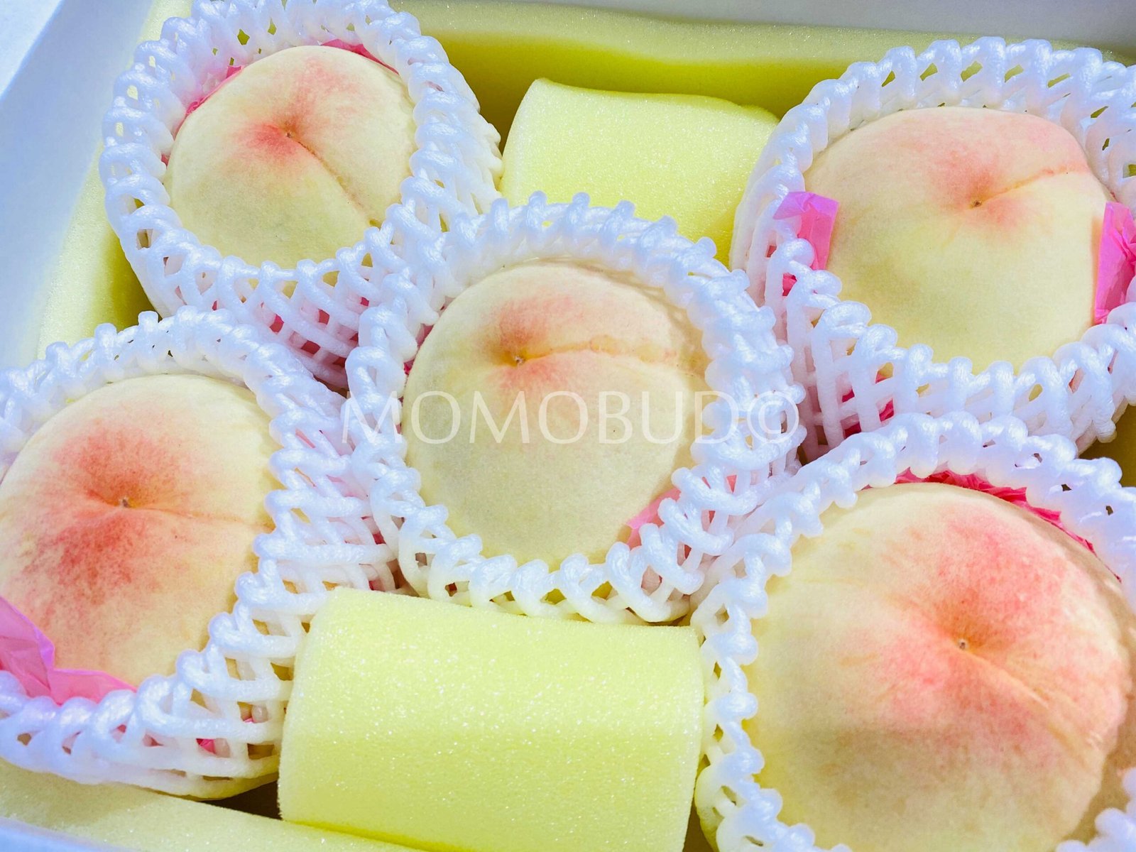 Japanese Shouo Hakuhou White Peach Gift Box (Tokushu Grade) - Image 2