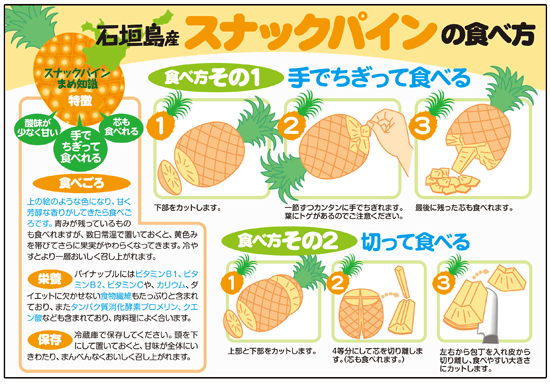 *Final Markdown* Japanese Okinawa Snack Pineapple - Image 4