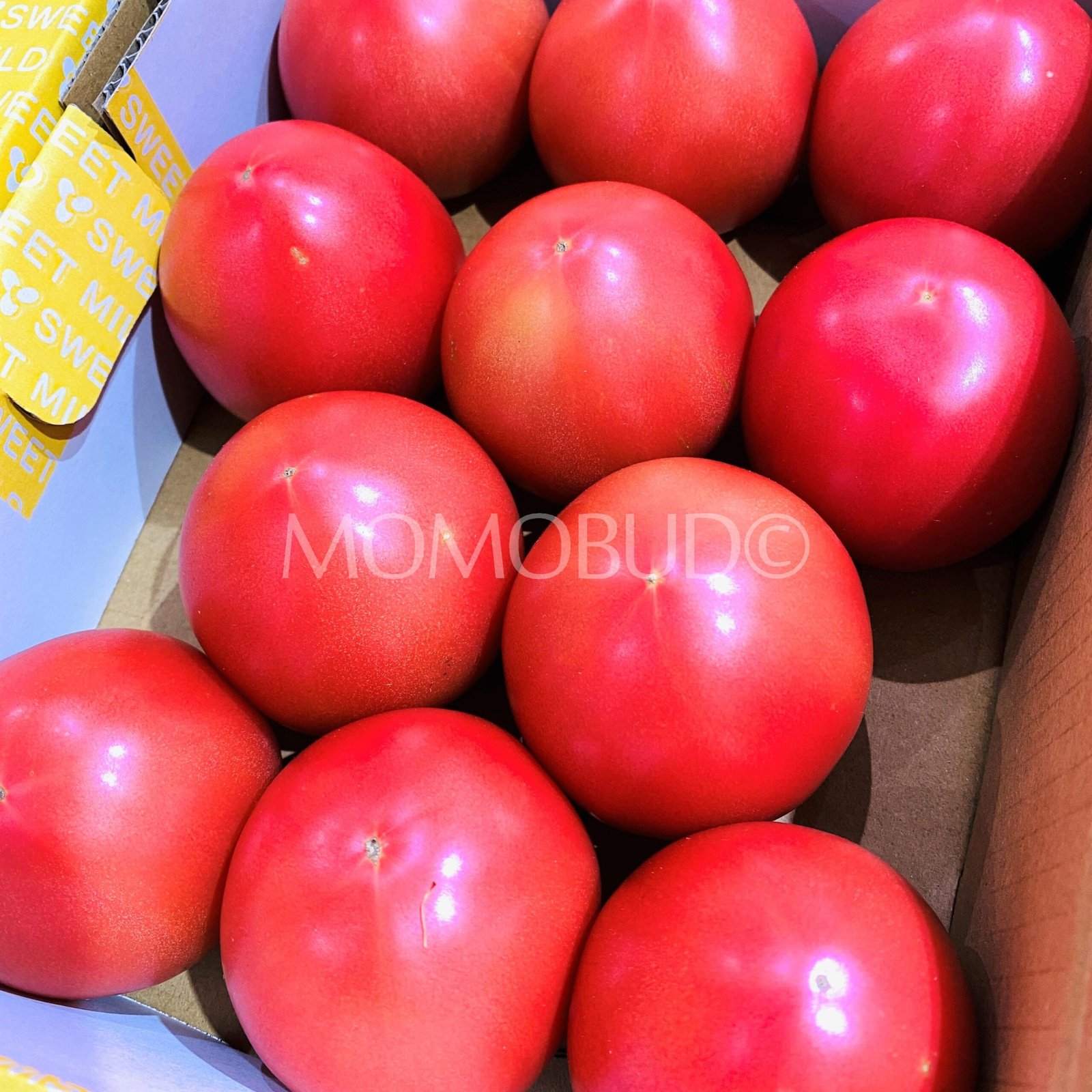 Japanese Sweet Mild Fruit Tomato Gift Box - Image 3