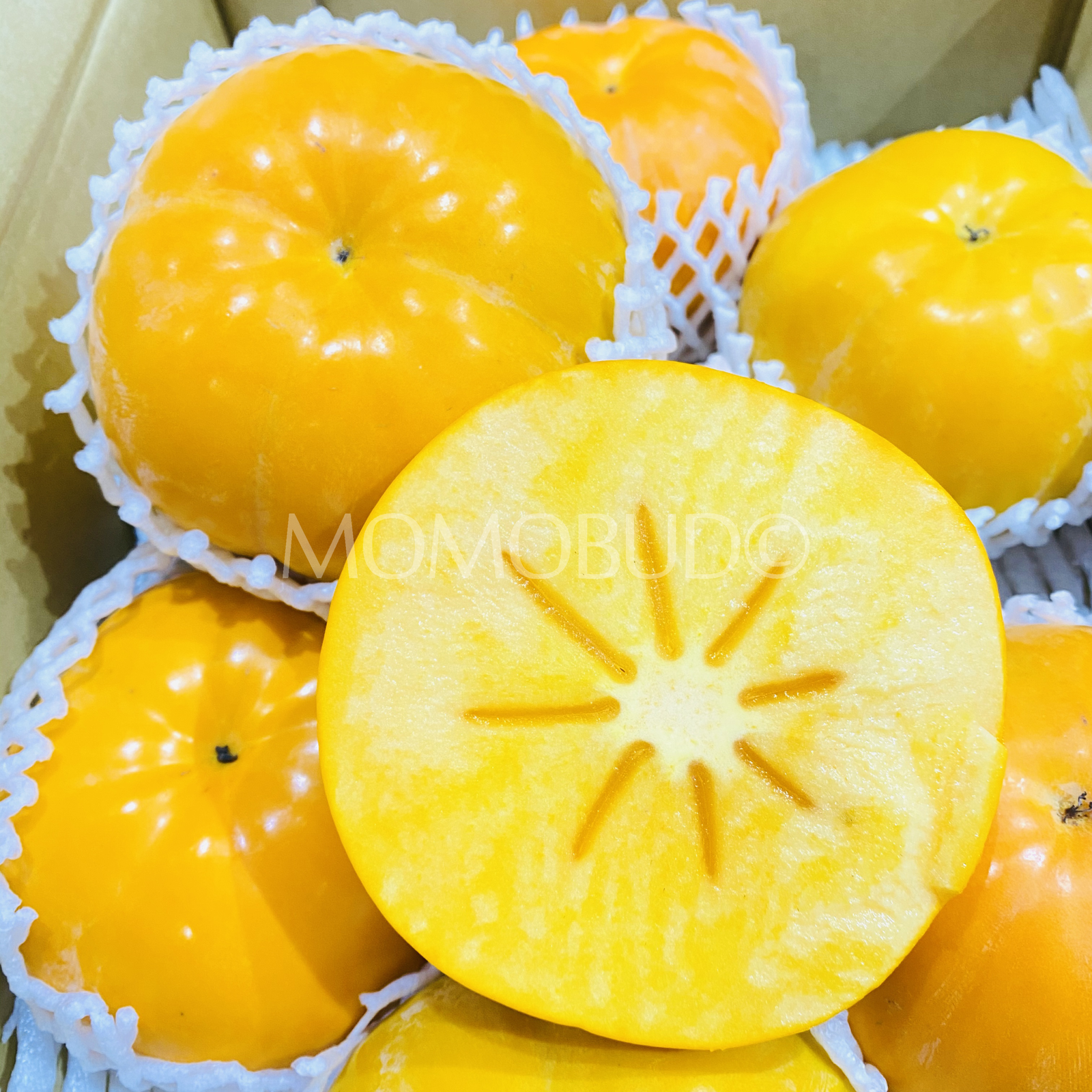 *Exclusive* Japanese Fukugaki Taiten Persimmon (Large) - Image 3