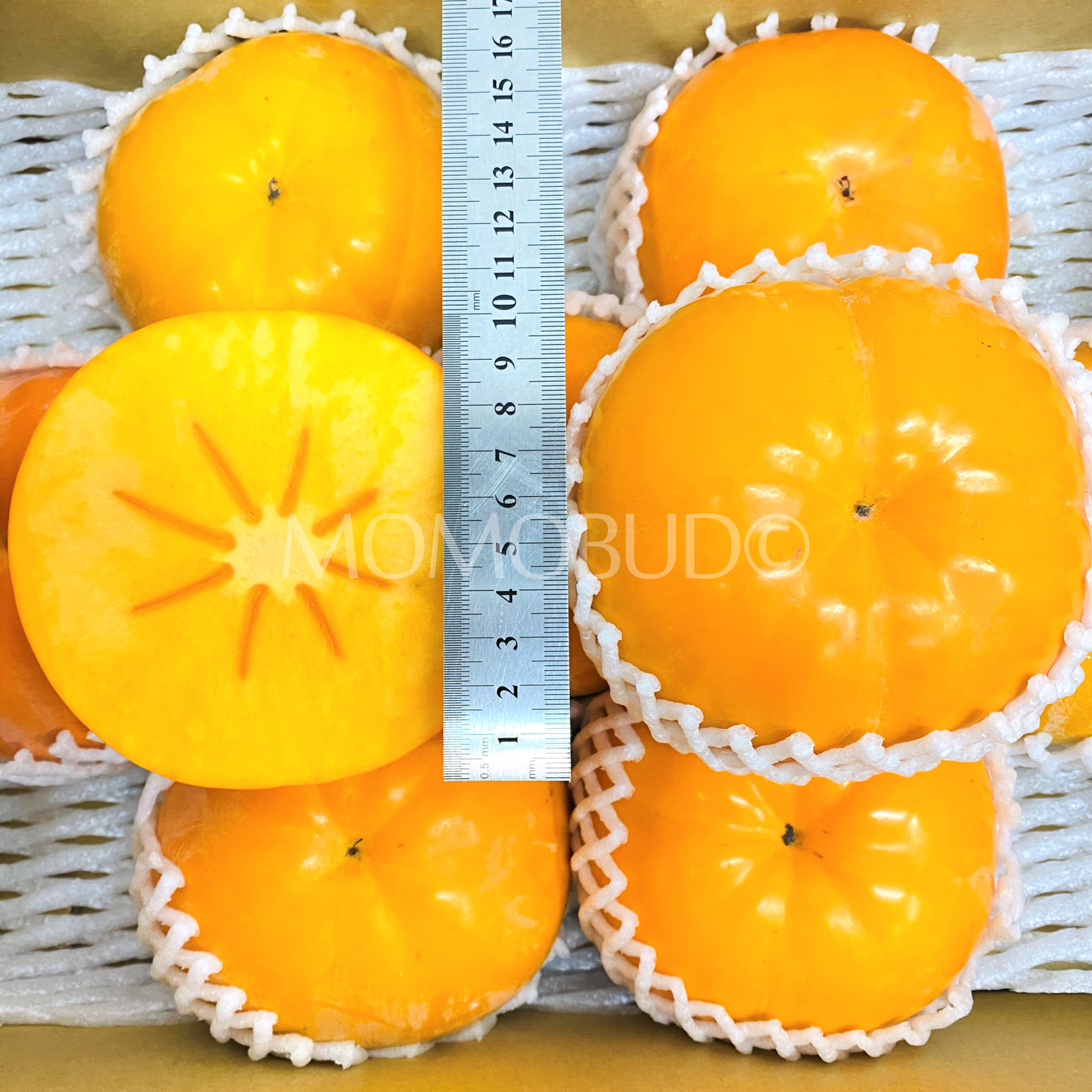 *Exclusive* Japanese Fukugaki Taiten Persimmon (Large) - Image 2