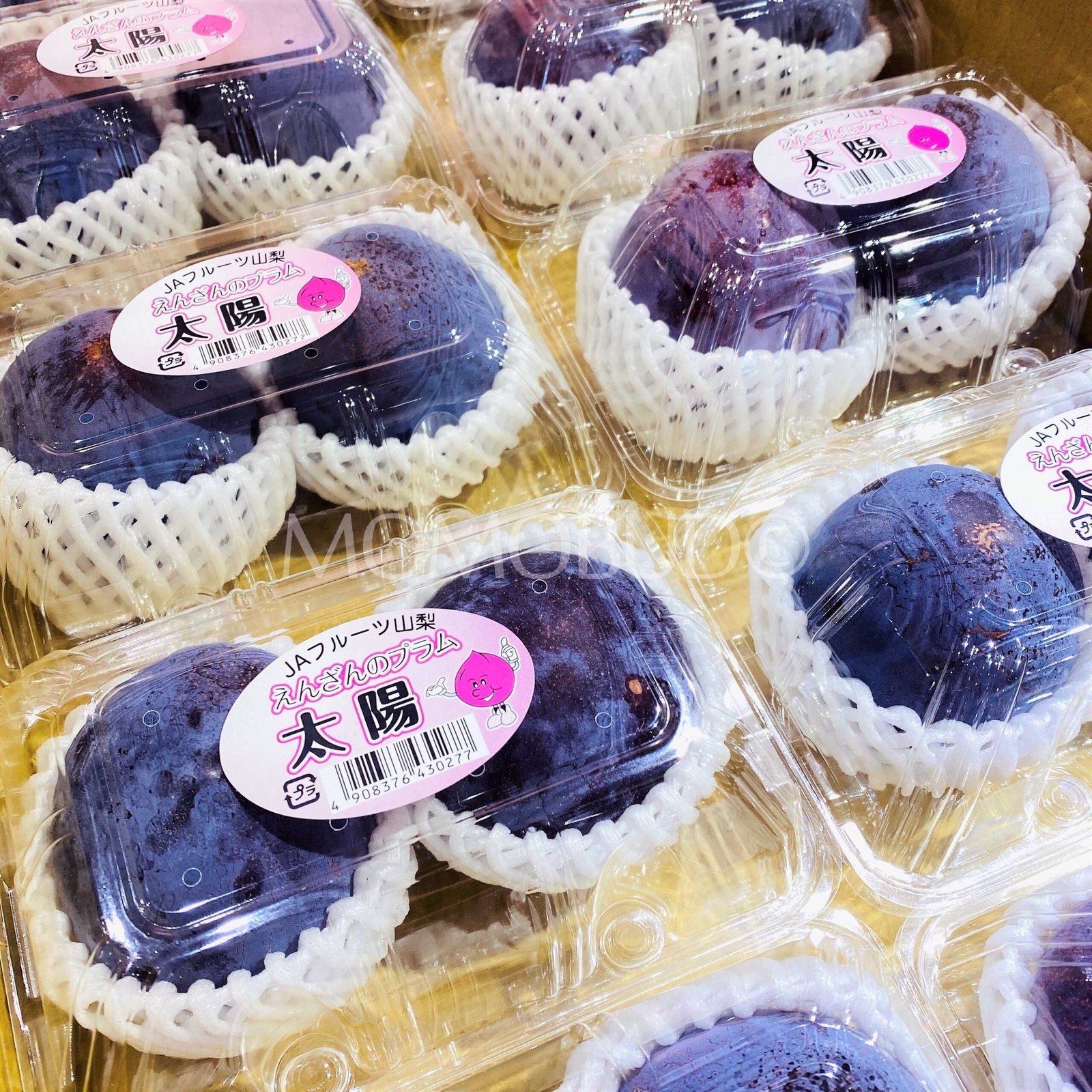 Japanese Taiyo Plum (300g pack) - Image 3