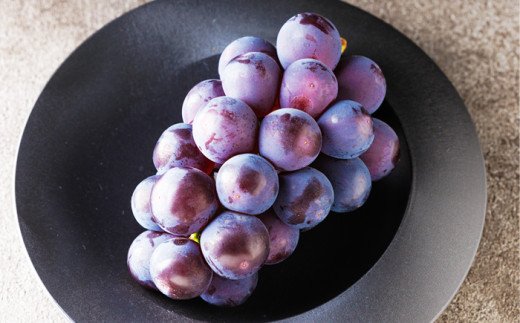 Japanese Tottori Pione Seedless Grapes - Image 5