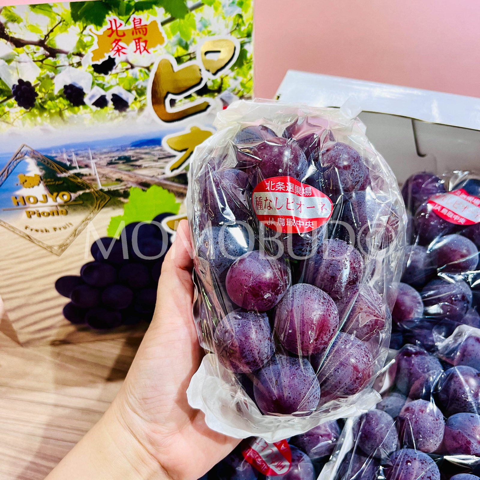 Japanese Tottori Pione Seedless Grapes - Image 3
