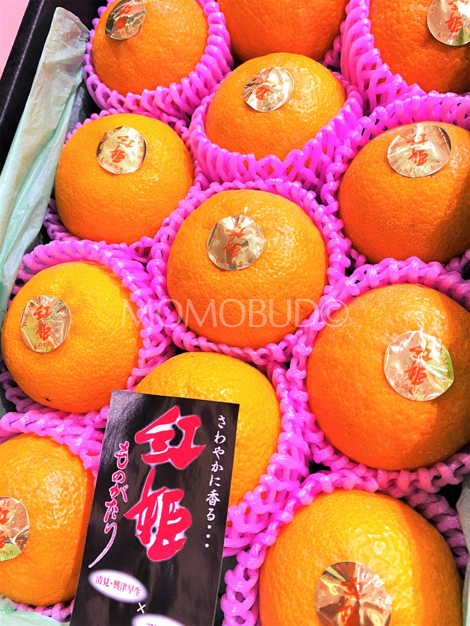 Japanese BeniHime Tsu no Kagayaki (Mandarin Orange) Gift Box (2.5kg) - Image 2