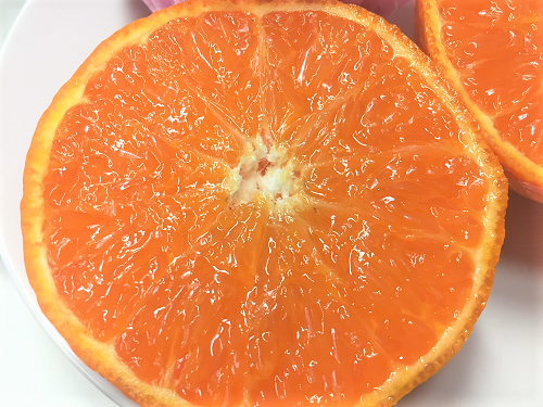 Japanese BeniHime Tsu no Kagayaki (Mandarin Orange) Gift Box (2.5kg) - Image 3