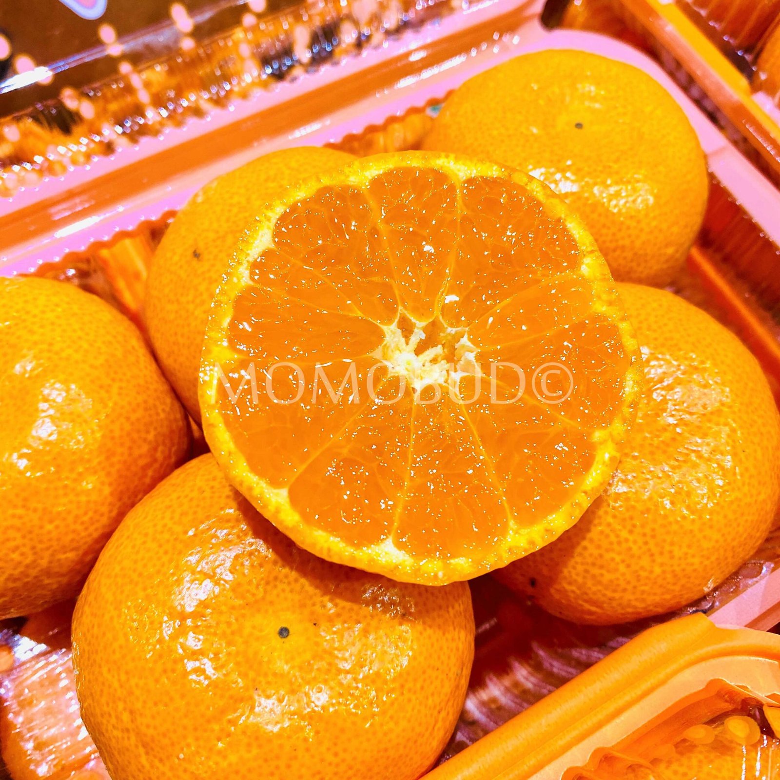 Japanese Arida AQ House Mikan Pack (400g) - Image 2