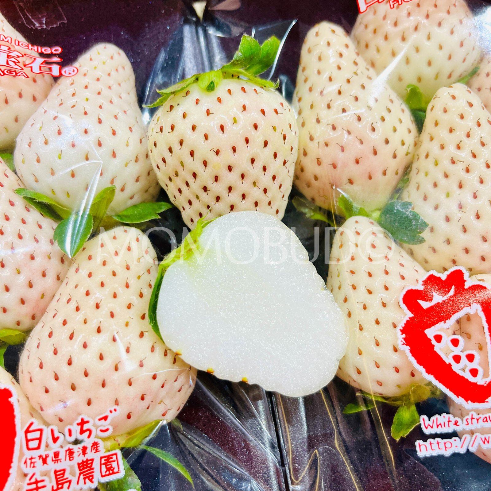 Japanese White Jewel (Shiroi Houseki) Ichigo (Strawberry) - Image 3