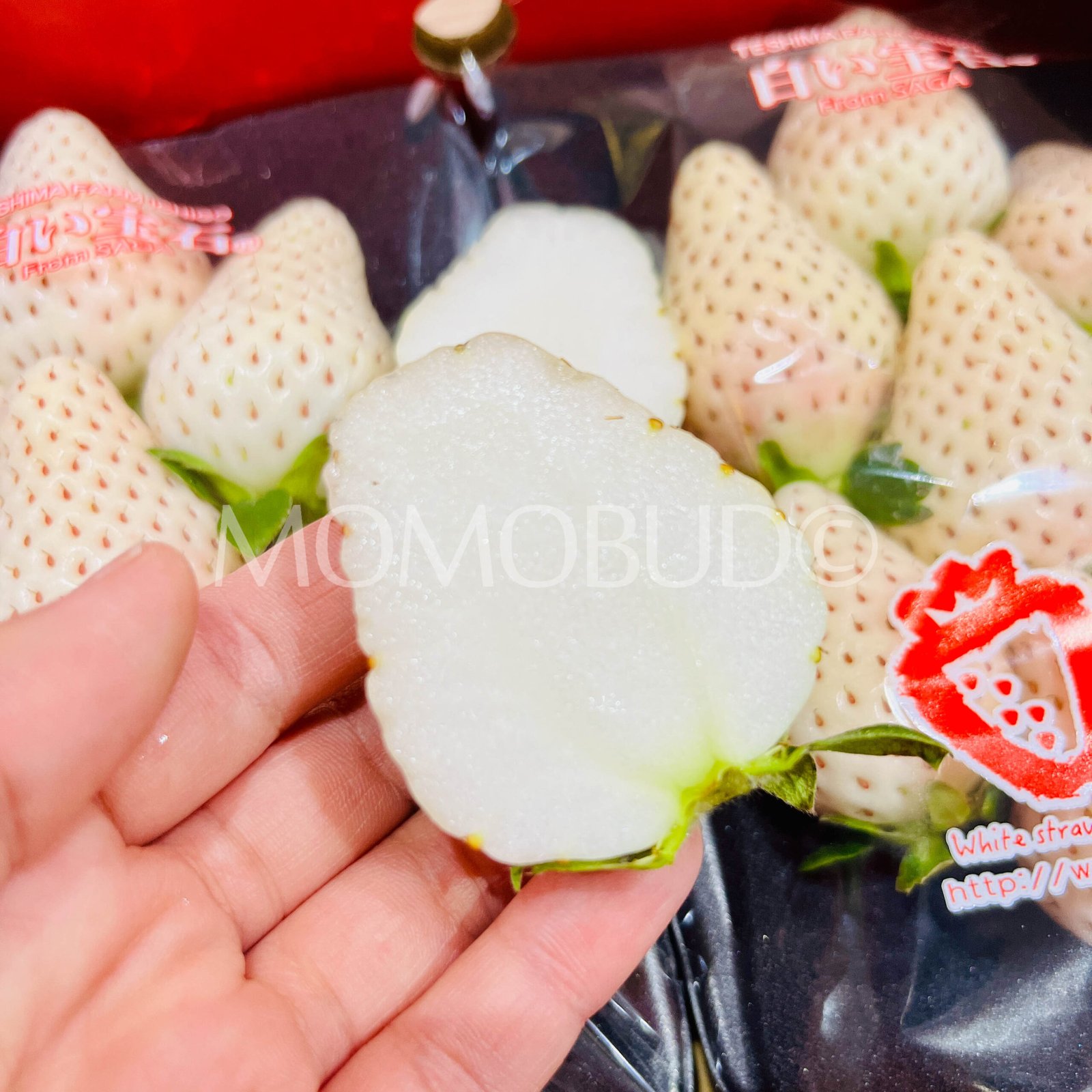 Japanese White Jewel (Shiroi Houseki) Ichigo (Strawberry) - Image 4