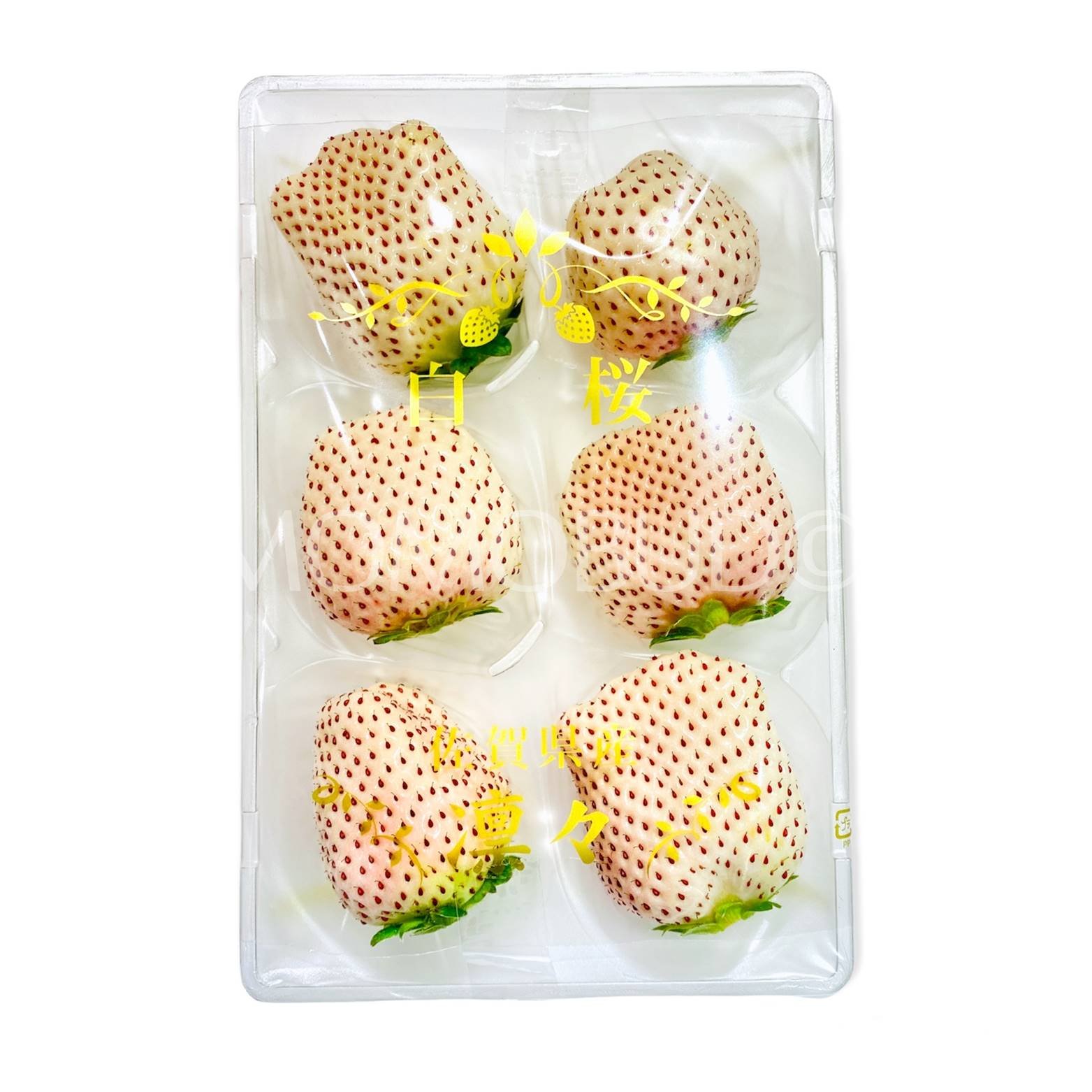 Japanese White Sakura Ichigo (Strawberry) - Image 4