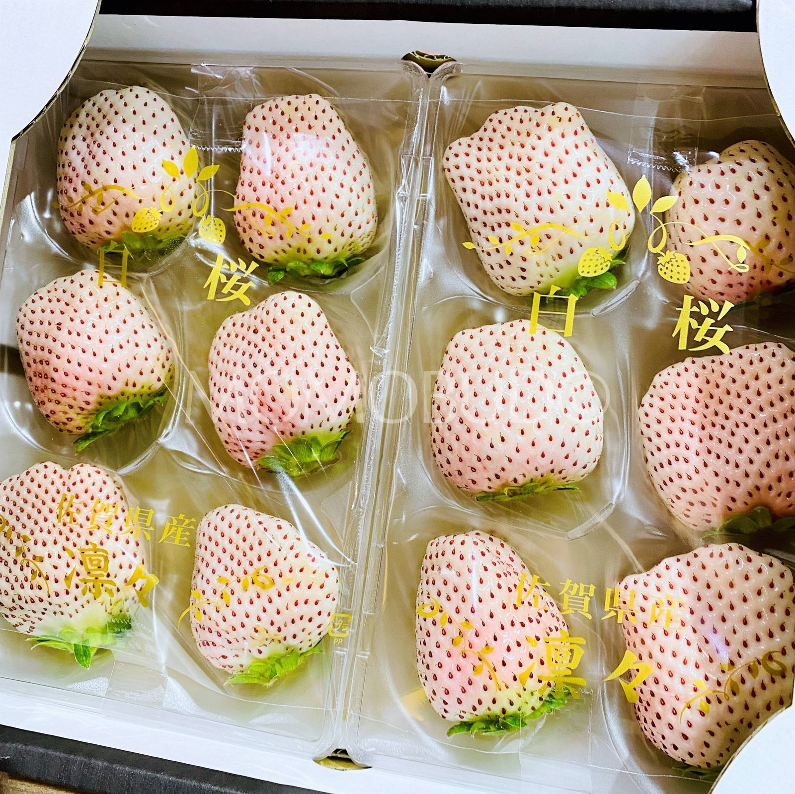 Japanese White Sakura Ichigo (Strawberry) - Image 2