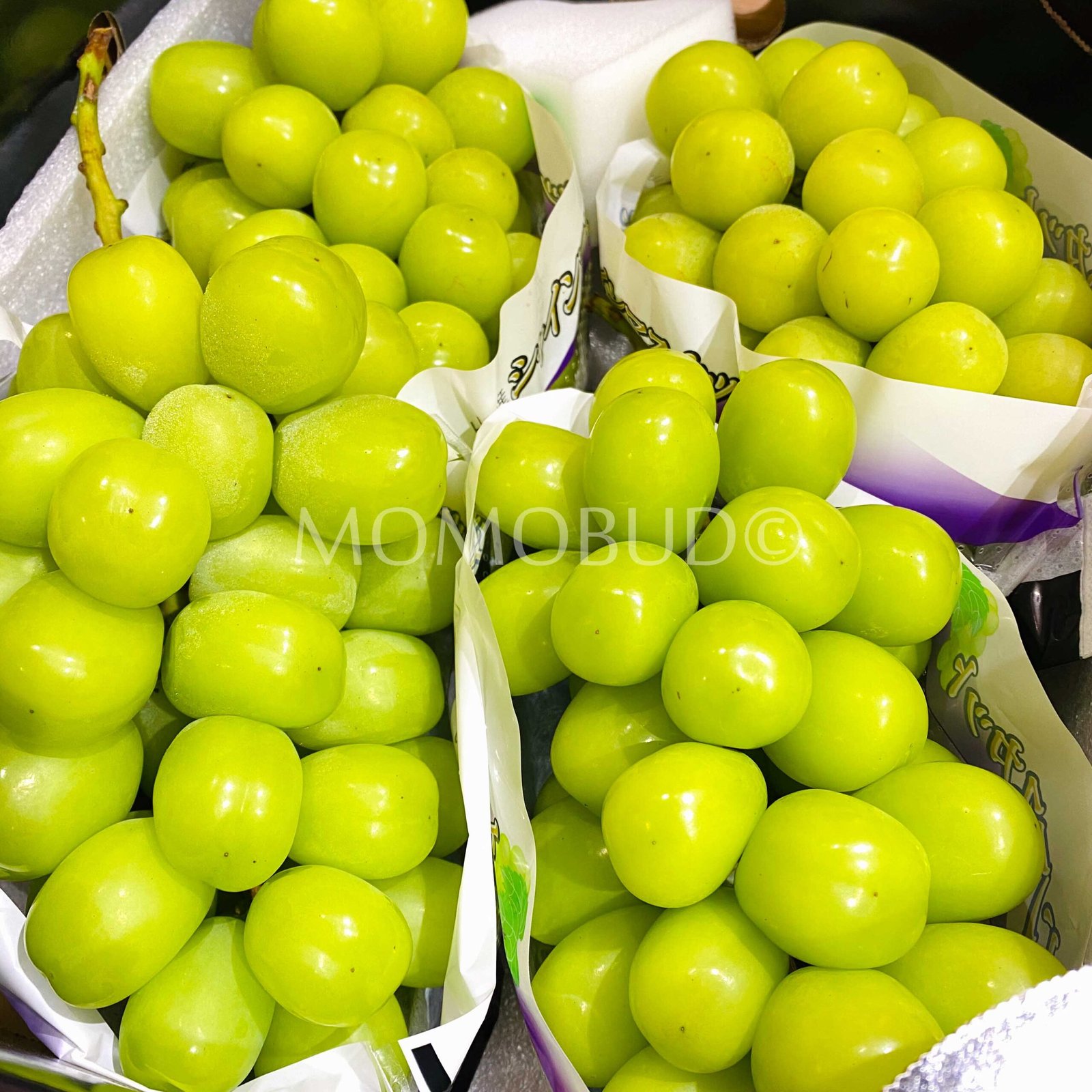 Japanese Gyokukou Shine Muscat Grapes - Image 2