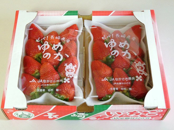 Japanese Yumenoka Ichigo (Strawberry) - Image 2