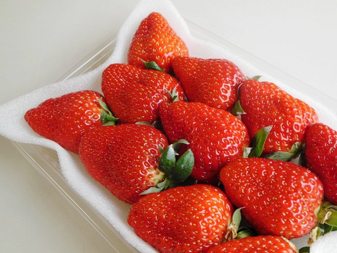 Japanese Yumenoka Ichigo (Strawberry) - Image 5