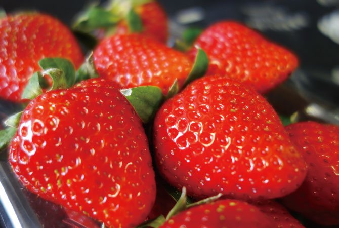 Japanese Yumenoka Ichigo (Strawberry) - Image 4