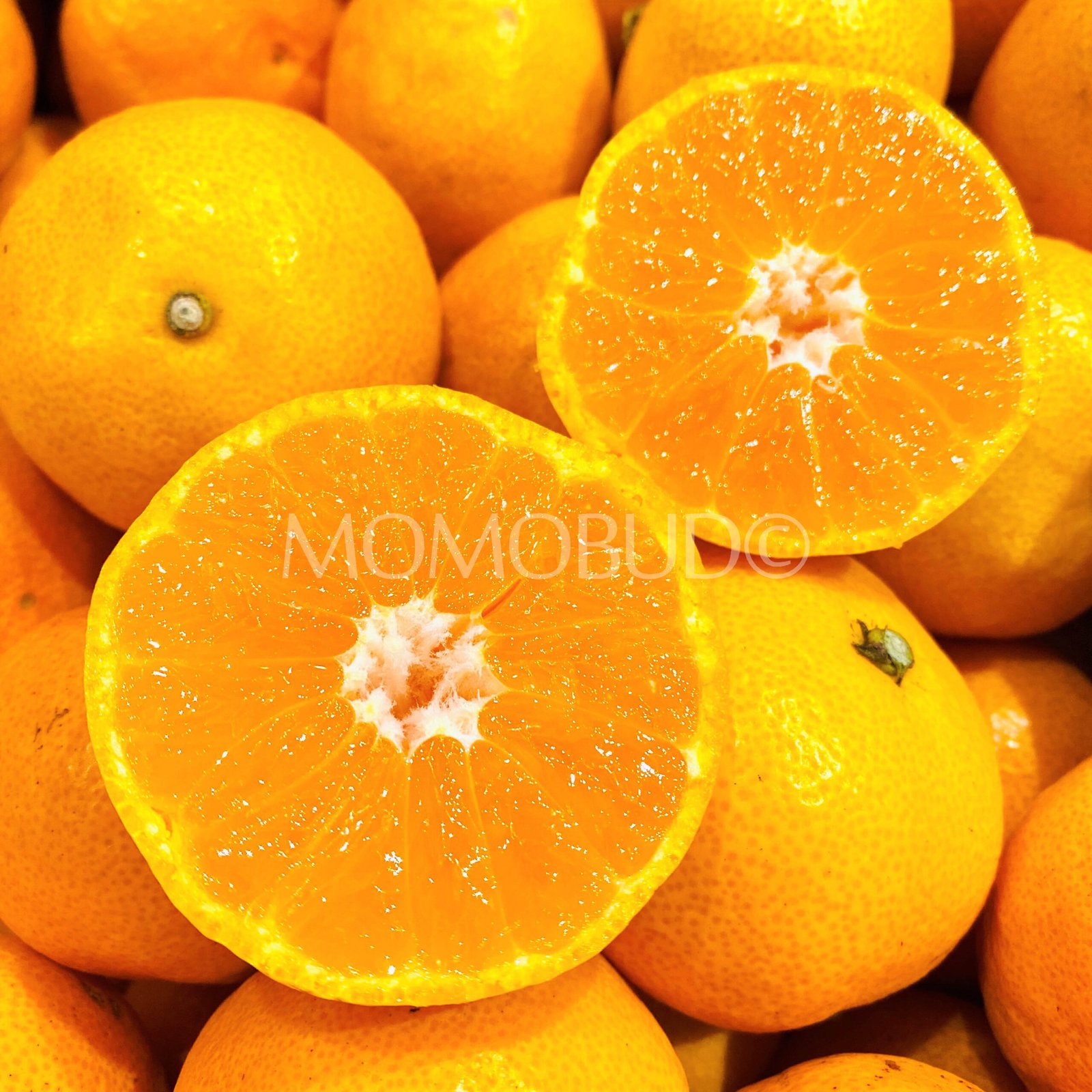 Japanese Premium Yutoka Mikan (Mandarin Orange) - Image 2