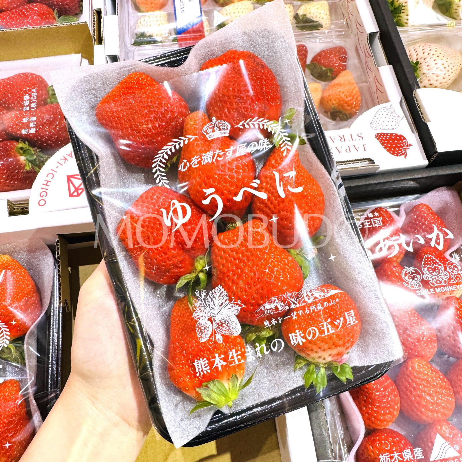 Japanese Yuubeni Ichigo (Strawberry) - Image 2