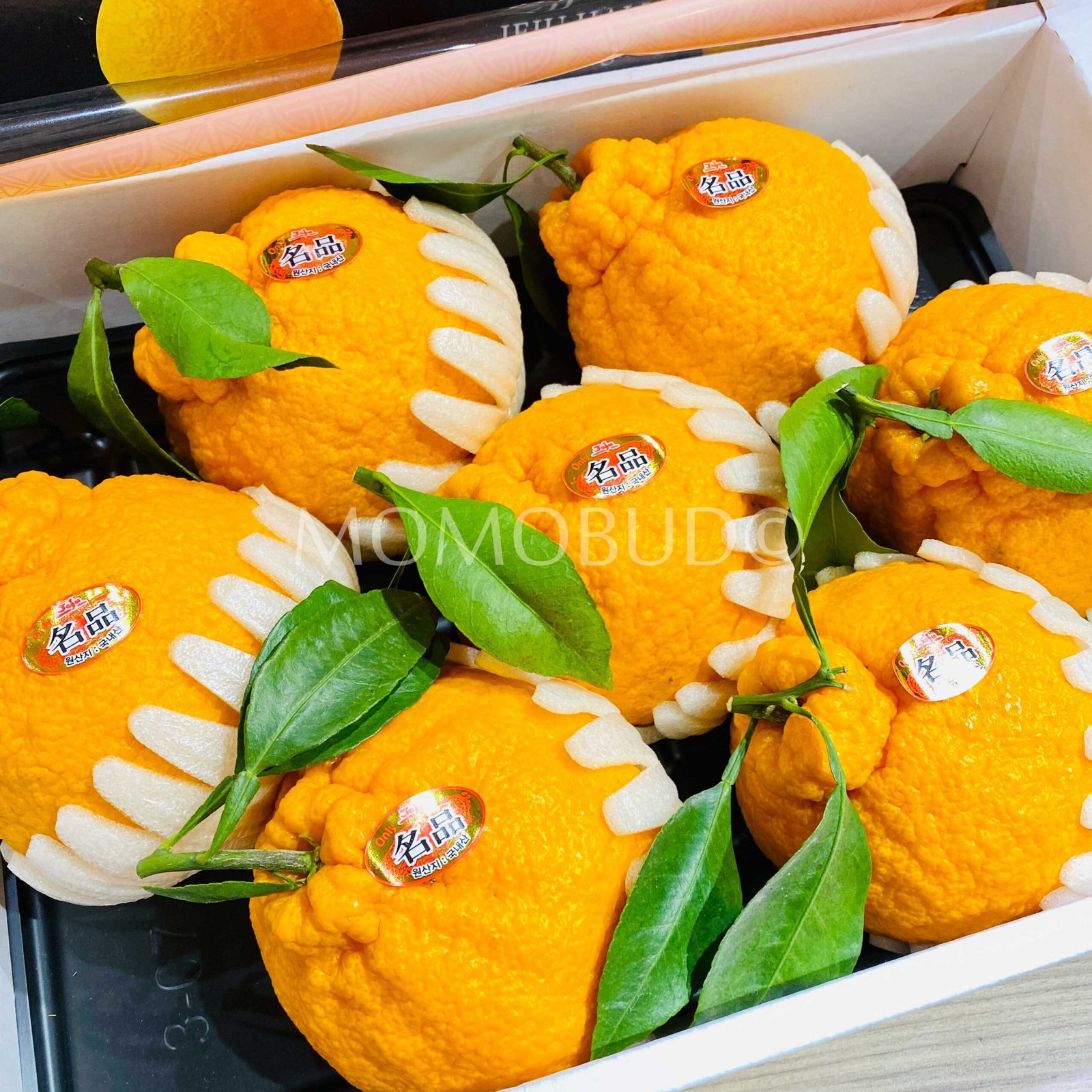 Jeju Gold Hallabong Orange Gift Box (3kg) - Image 3