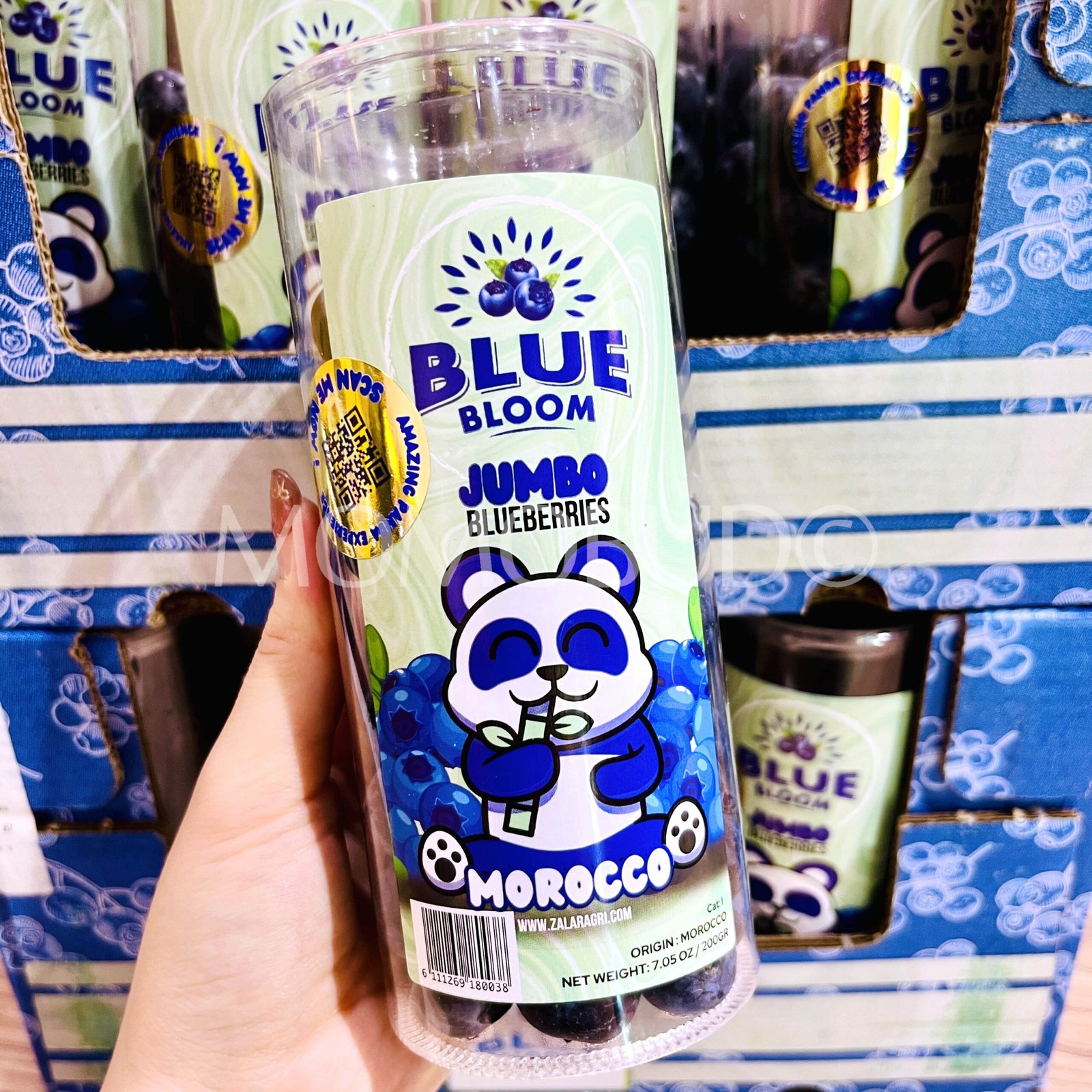 Jumbo Blue Bloom Blueberry (200g) - Image 3
