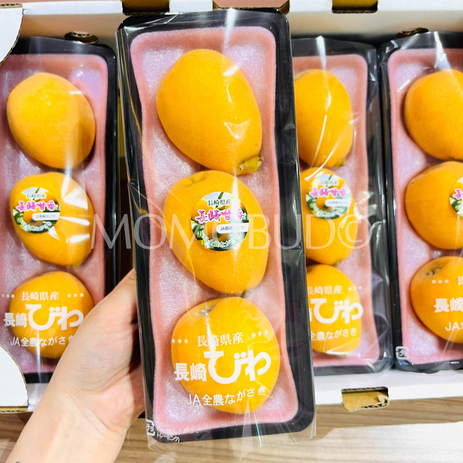 Jumbo Japanese Amaka Biwa (Loquat, 280g punnet) - Image 3