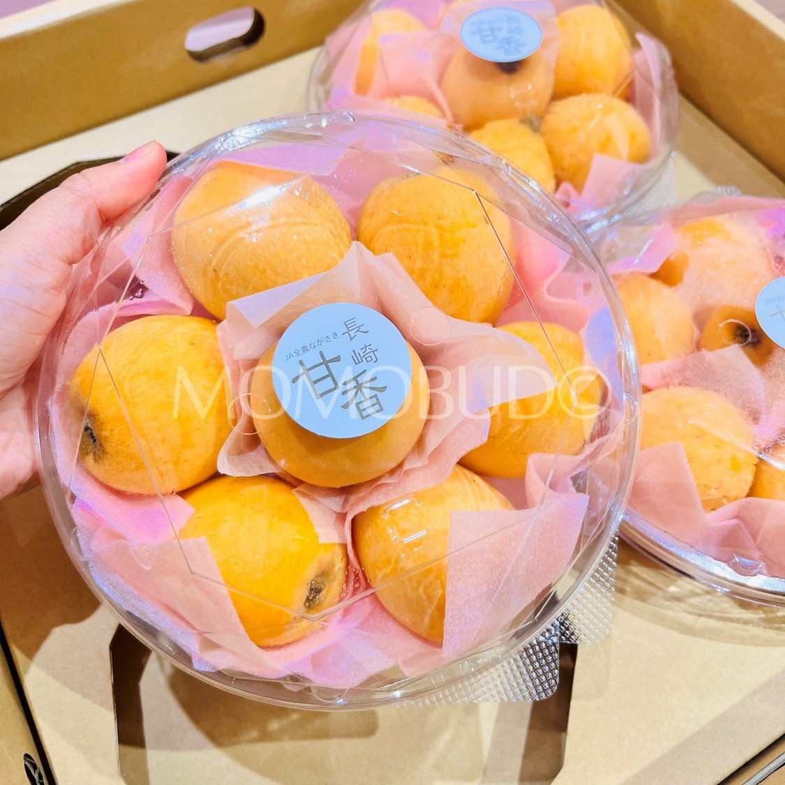 Jumbo Japanese Amaka Biwa (Loquat, 500g punnet) - Image 2