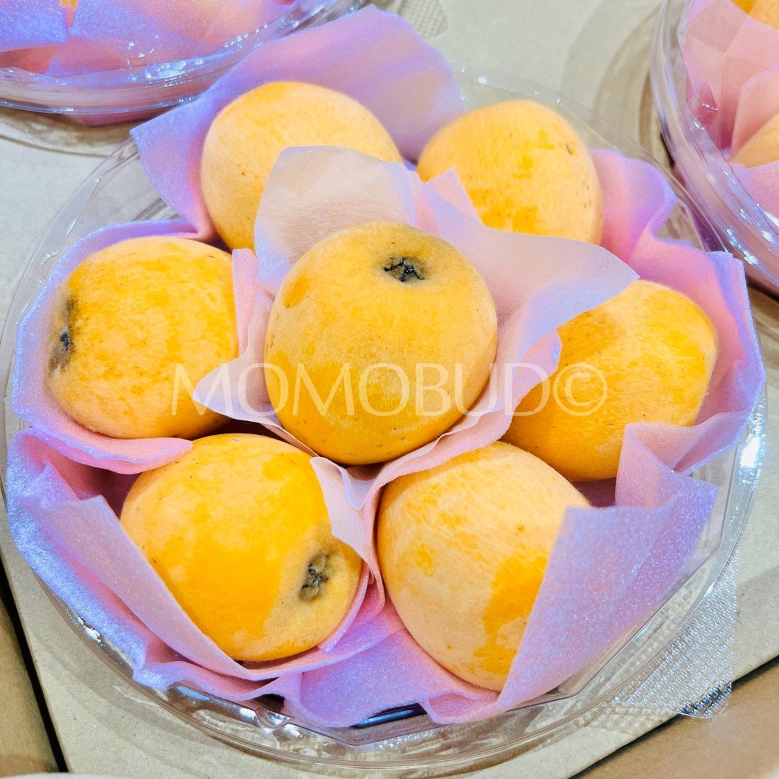 Jumbo Japanese Amaka Biwa (Loquat, 500g punnet) - Image 3