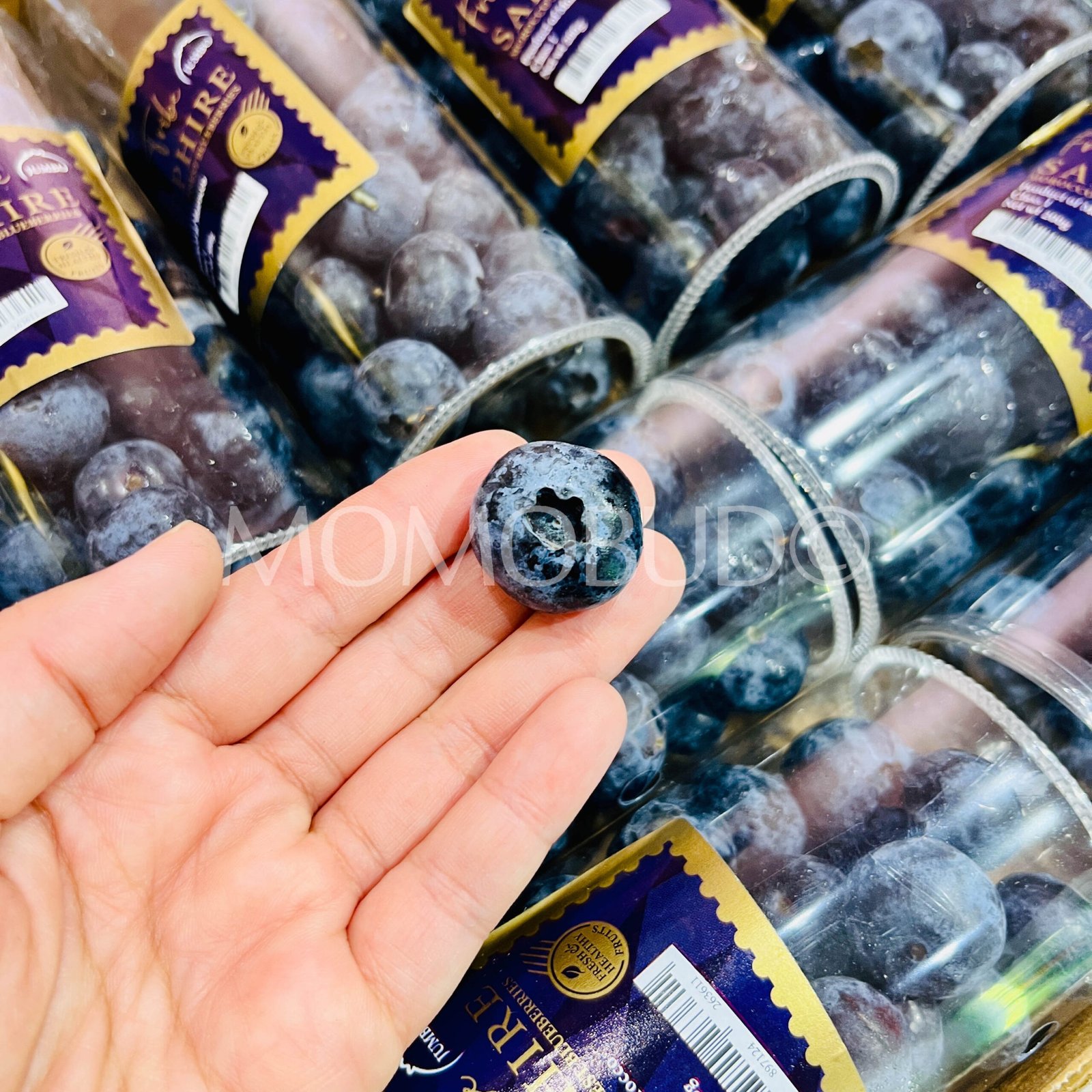 Jumbo Sapphire Blueberry (200g tub) - Image 3