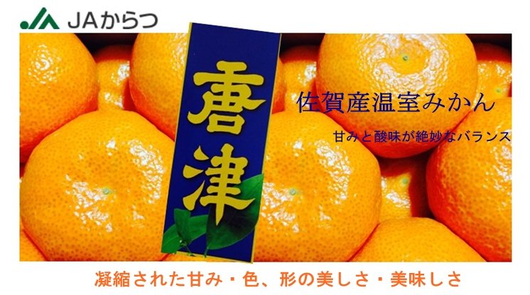 Air-flown Japanese Karatsu Onshitsu Mikan Gift Box (1.2kg) - Image 4