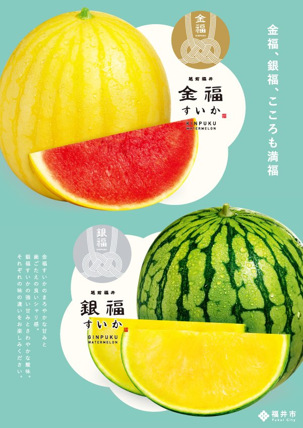 Japanese Kinpuku Golden Watermelon - Image 4