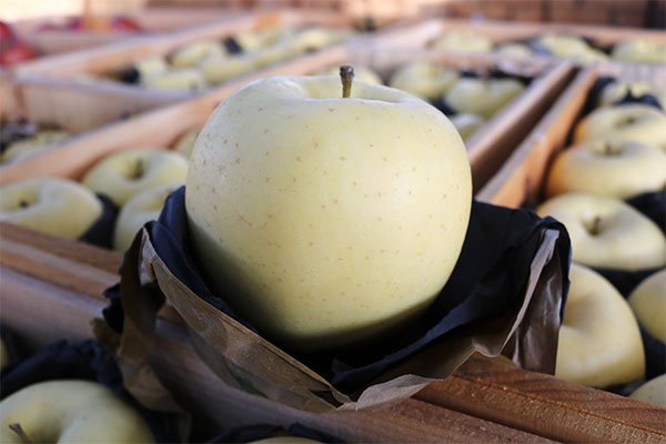 Premium Japanese Kinsei Apple (Medium-Plus, 3pcs) - Image 6