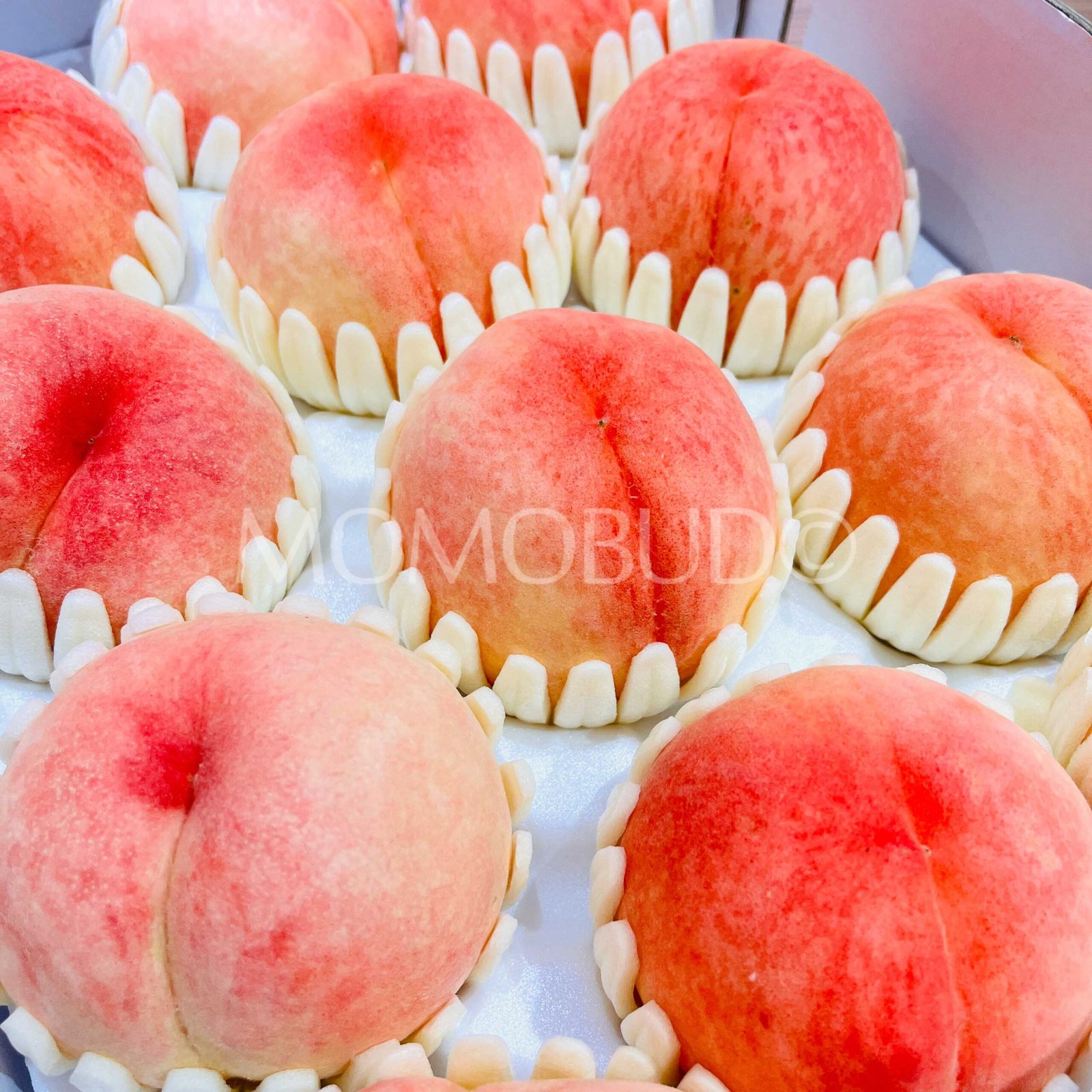 Korean Honey Water White Peach (Large) - Image 3