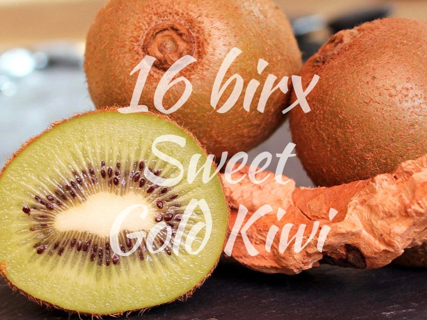 Korean Jeju Sweet Gold Shine Kiwi Gift Box (1kg) - Image 5