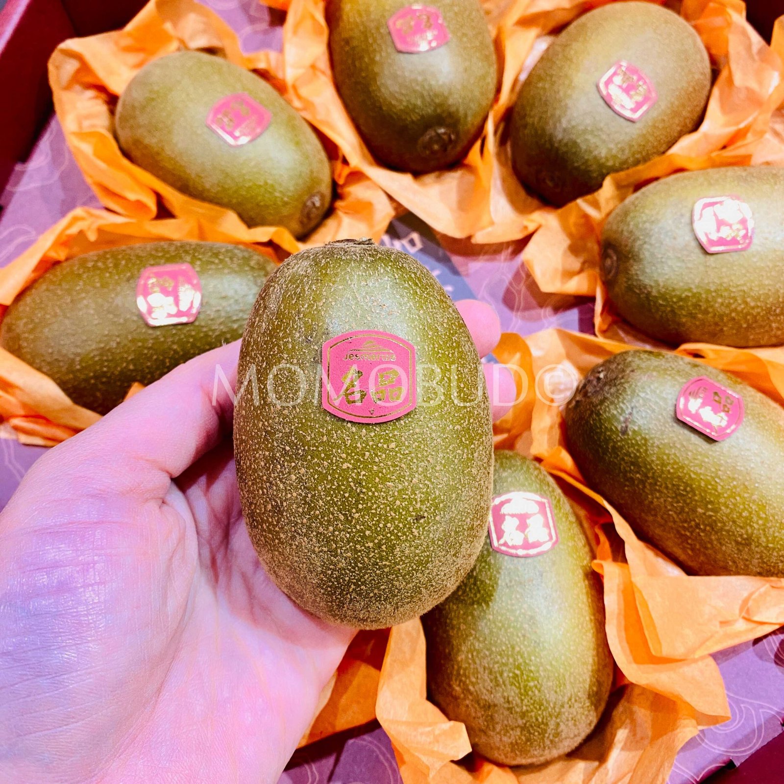 Korean Jeju Sweet Gold Shine Kiwi Gift Box (1kg) - Image 3