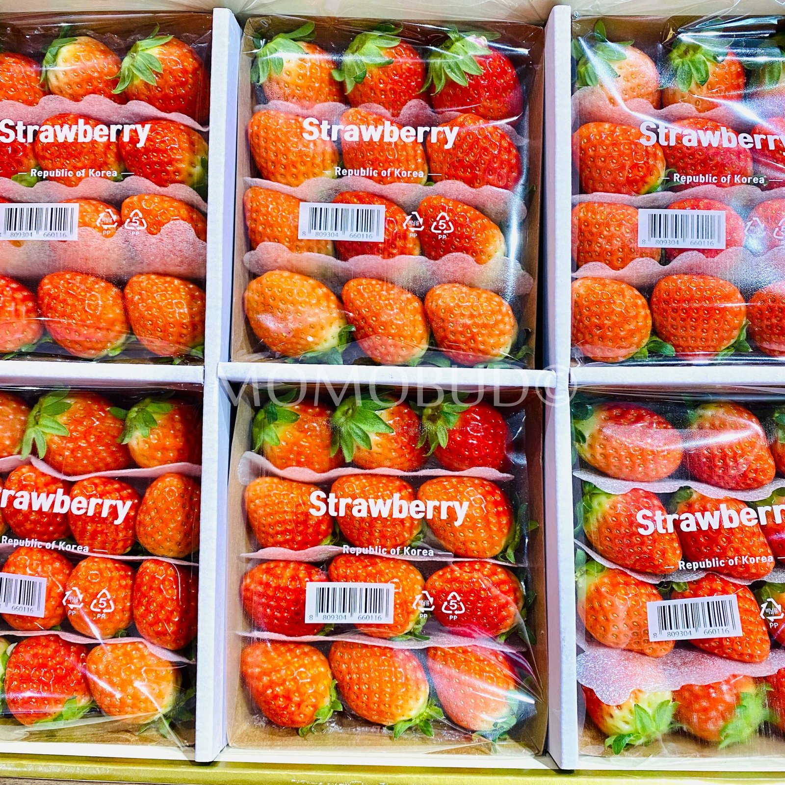 Organic Joy Farm Seolhyang Strawberry (200g approx) - Image 3