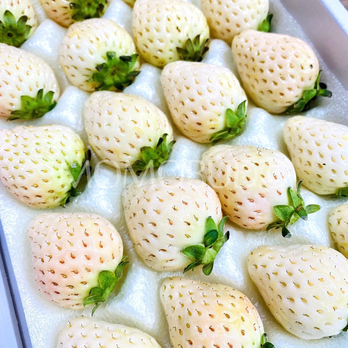 Korean Snowberry Strawberry Gift Box (400g) - Image 2