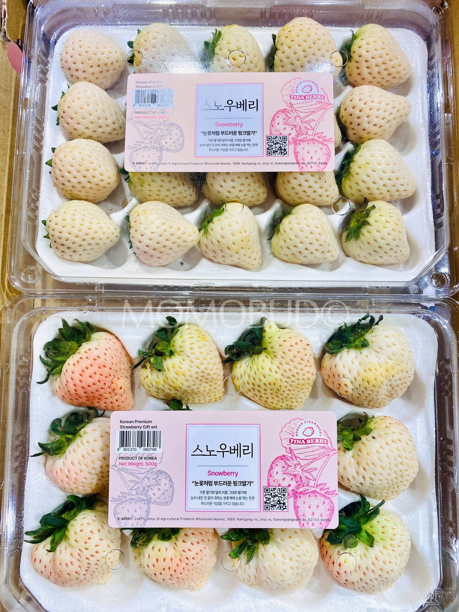 Jumbo Korean Snowberry Strawberry (500g punnet) - Image 2