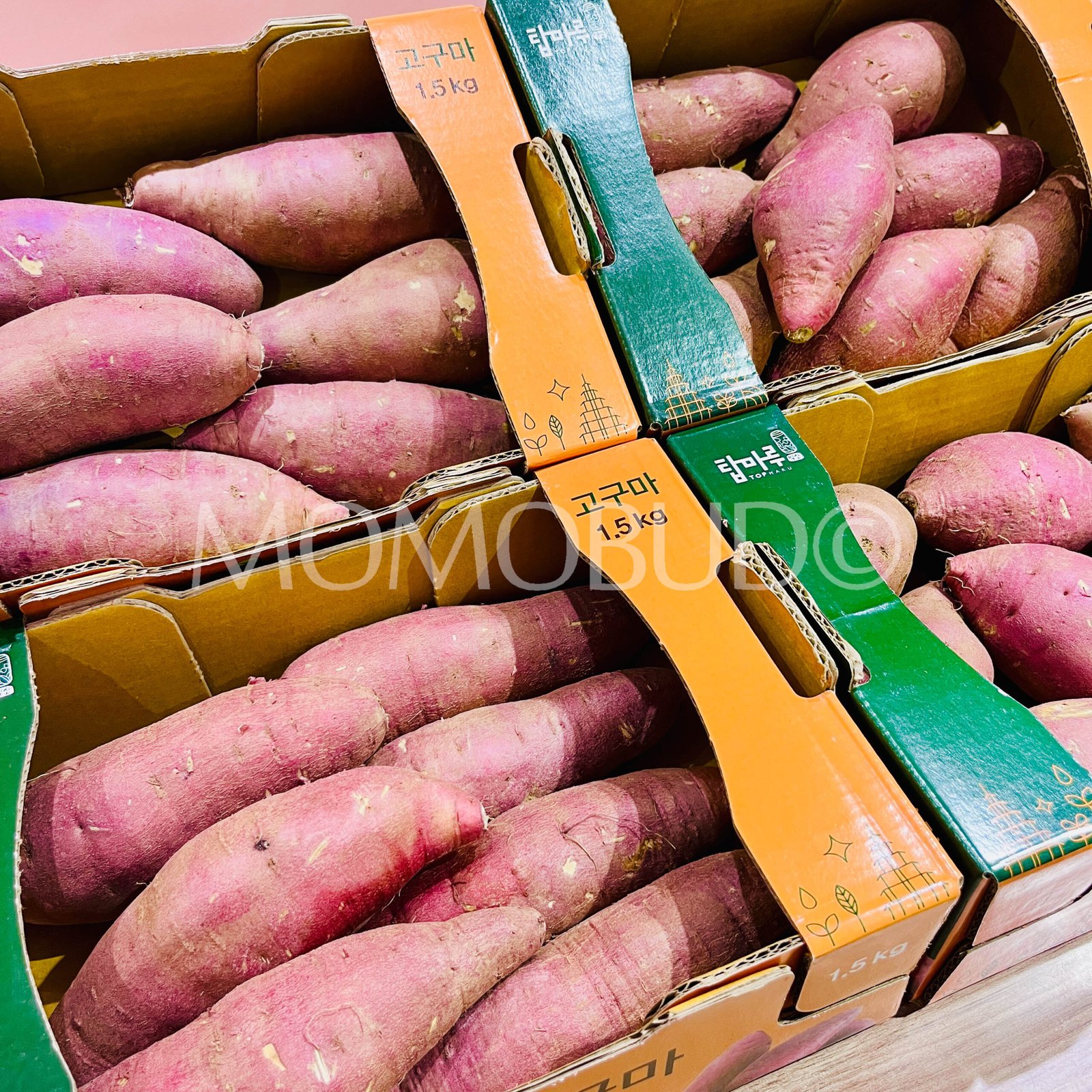 Korean Iksan Topmaru Yellow Sweet Potato Box (1.5kg) - Image 2