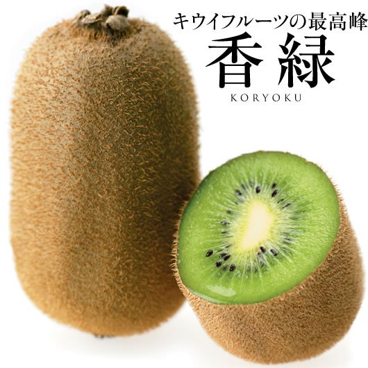 Japanese Koryoku Kiwi Gift Box - Image 5