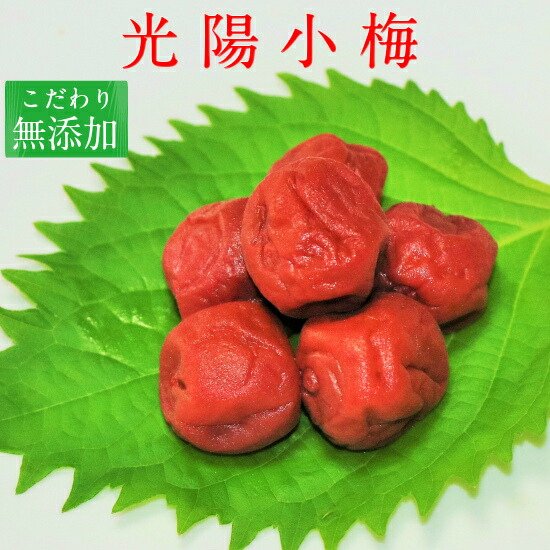 Japanese Kouyou Koume (Plum) - Image 7