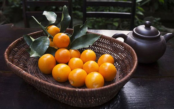 Japanese Miyazaki Kinkan (Kumquat) - Image 4