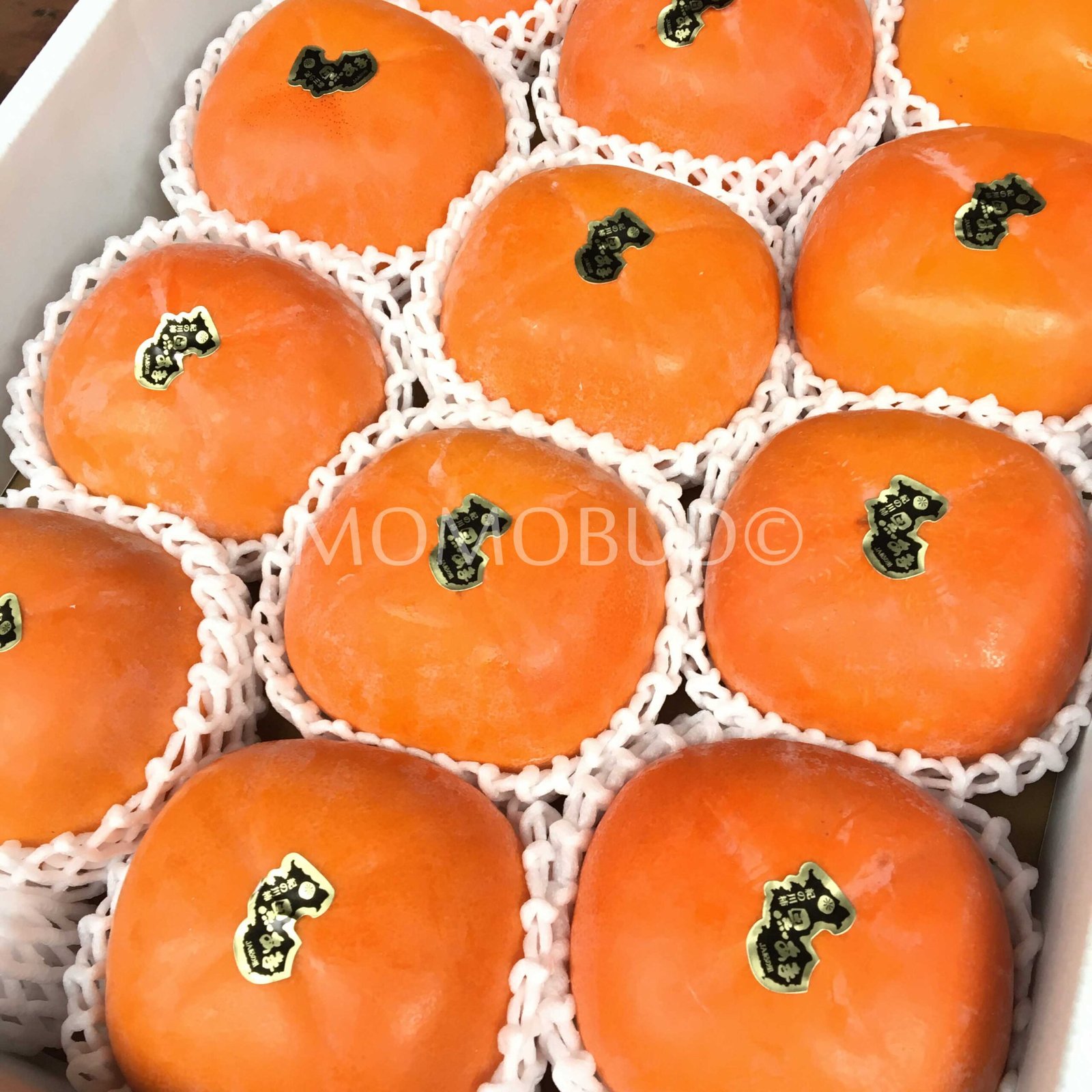 Japanese Kuroama (Black Flesh) Persimmon (X-Large) - Image 2