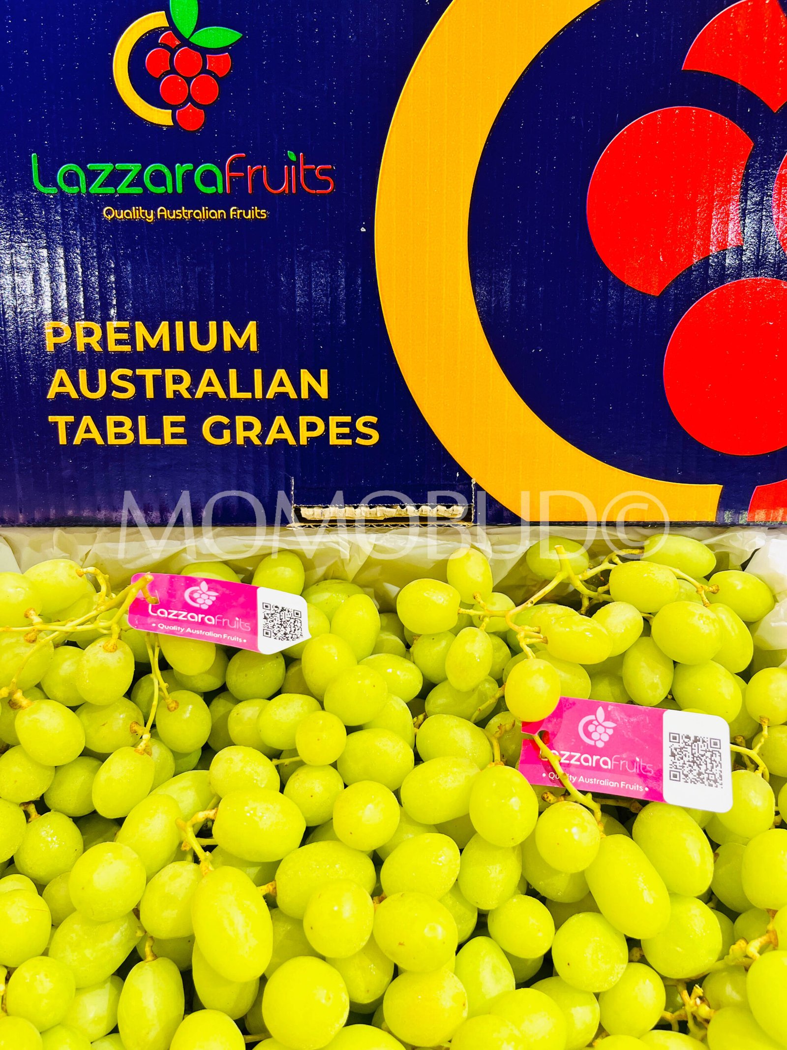 Lazzara Sweet Globe® Green Seedless Grapes - Image 2
