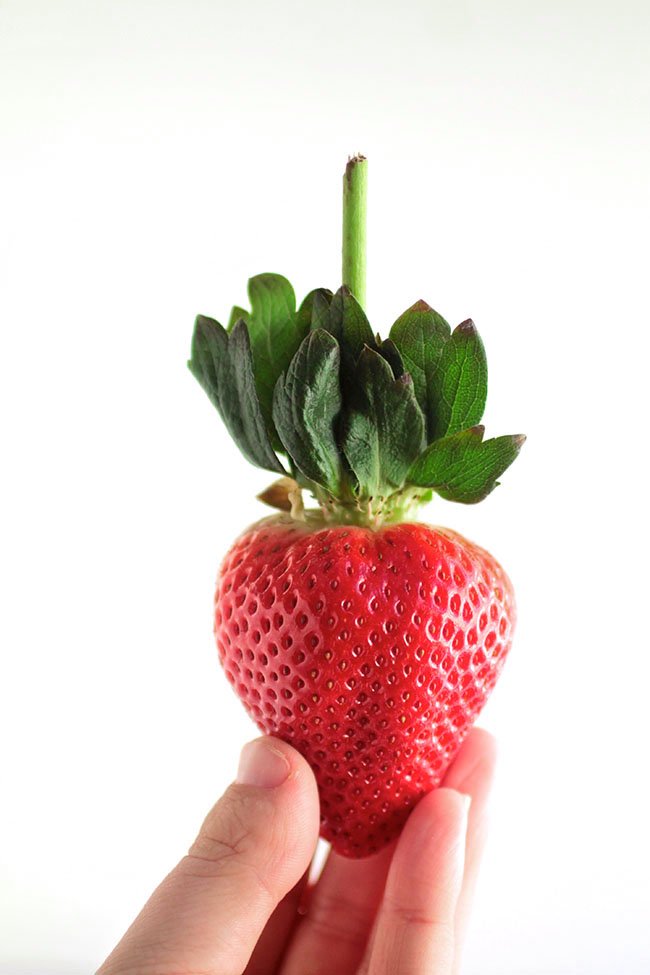 USA Crystal Cove Long Stem Strawberry (454g punnet) - Image 4