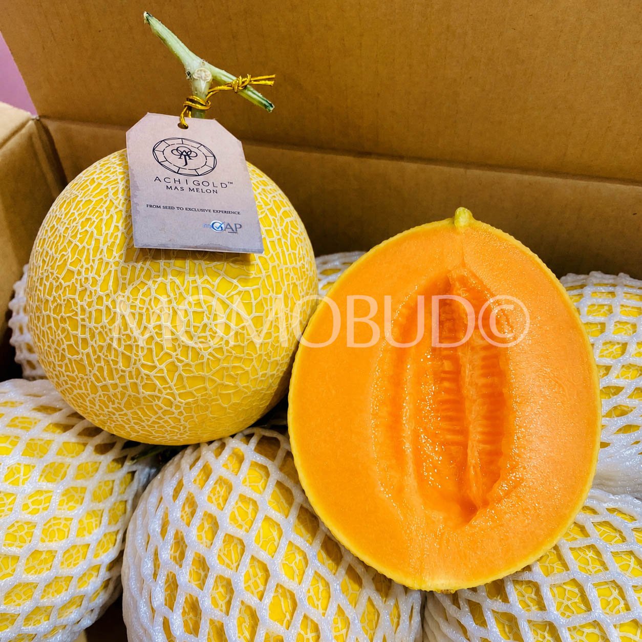 Achigold Mas Melon (Large-Plus, 1.6-1.7kg approx) - Image 4