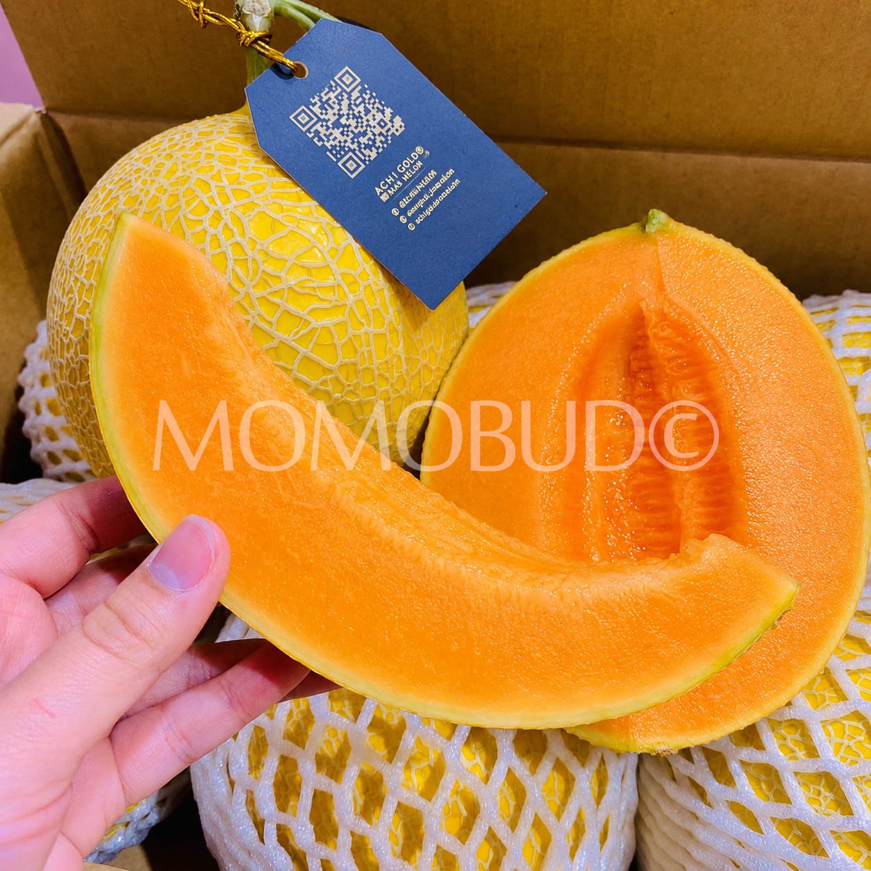 Achigold Mas Melon (Large-Plus, 1.6-1.7kg approx) - Image 5