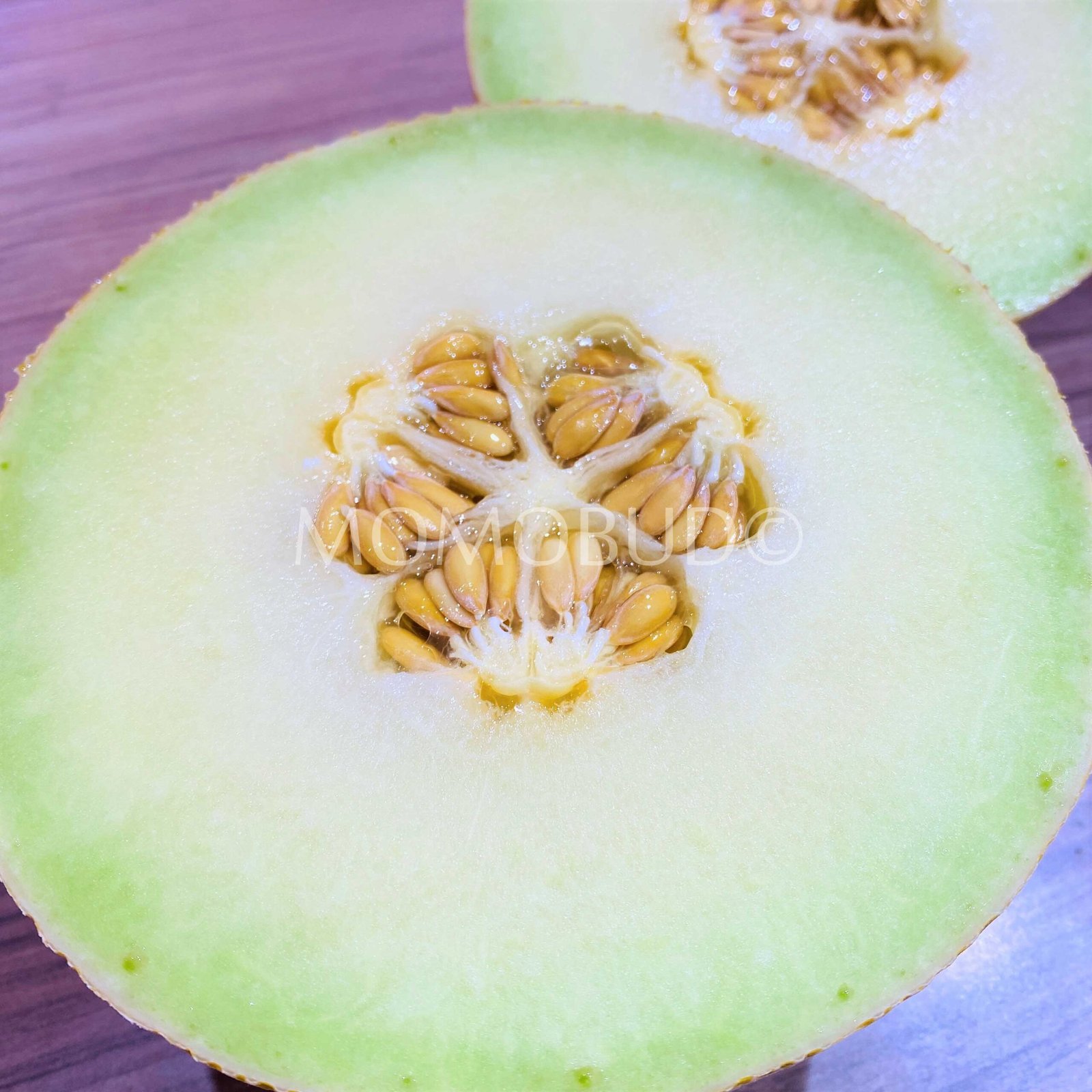 Dutch Melon (Large-Plus) - Image 3