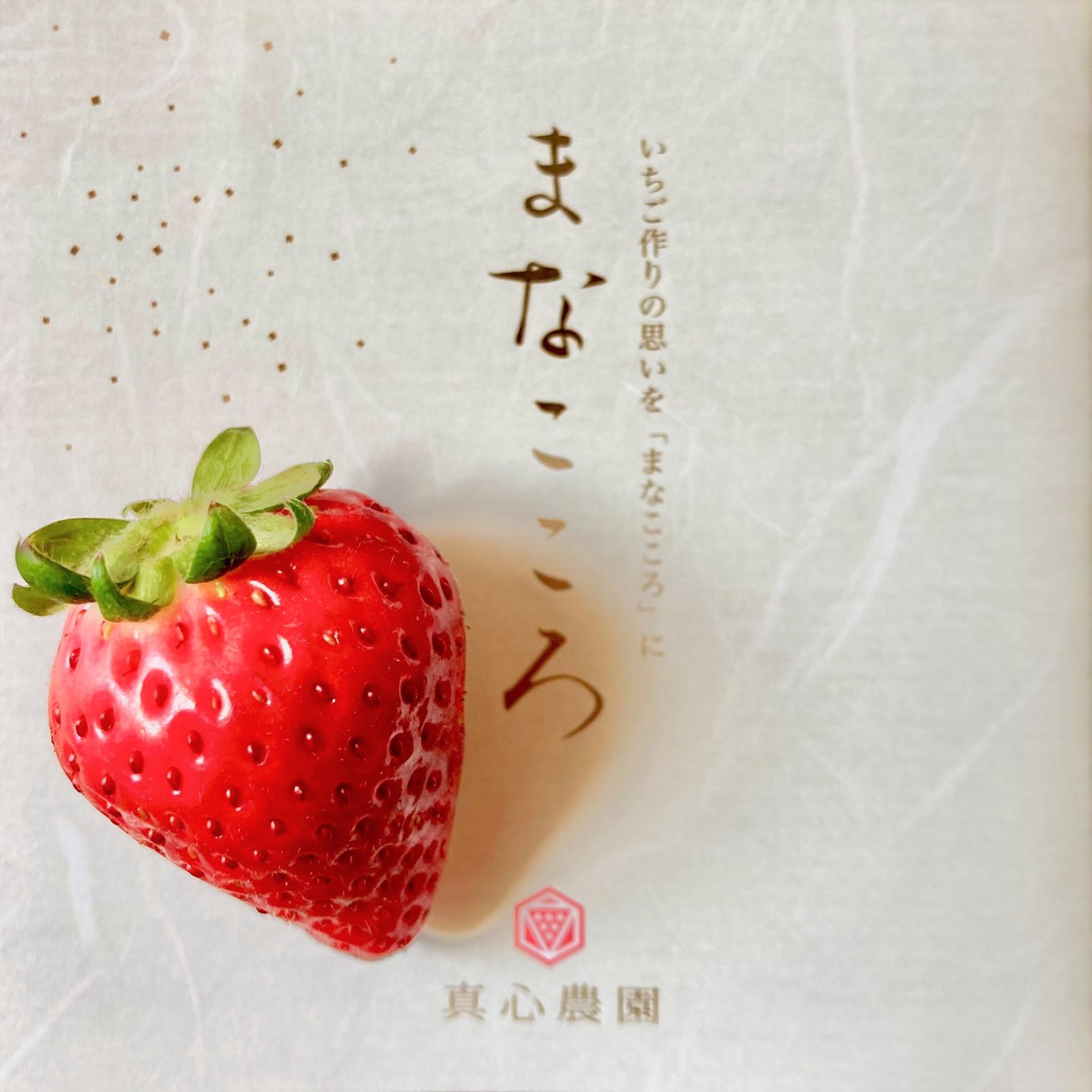Japanese Premium Manakokoro Ichigo (Strawberry) Gift Box (1kg) - Image 6