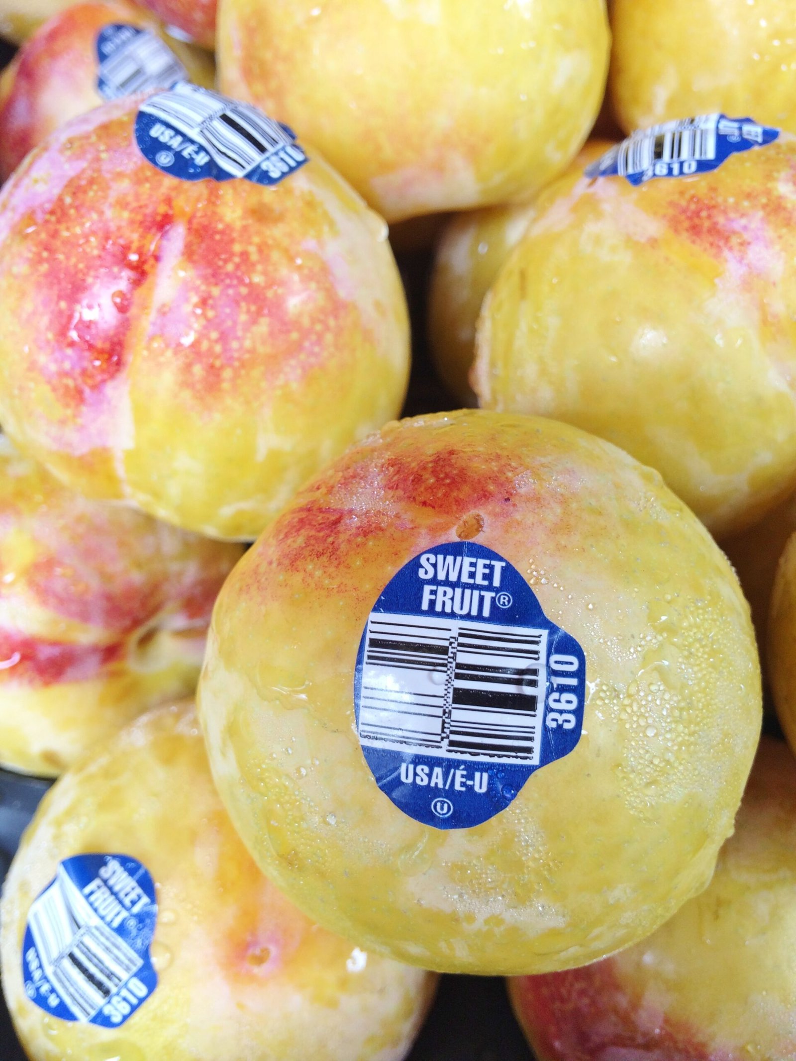 Mango Tango Plum (6pcs) - Image 2